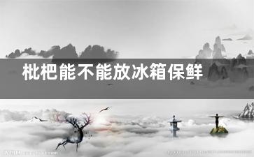 枇杷能不能放冰箱保鲜 枇杷能放冰箱保鲜吗(枇杷邮寄要放冰吗)